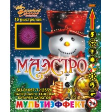 SU-01657 - Маэстро